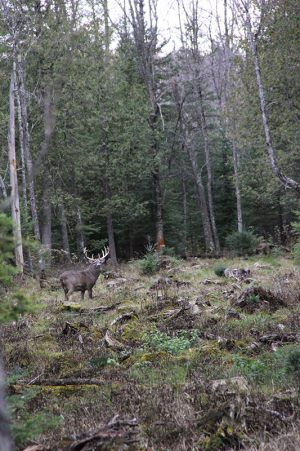 IMG_5614