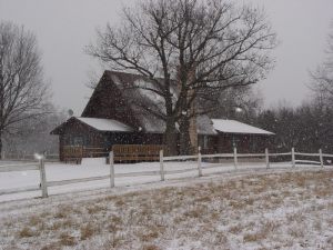 dsc00630