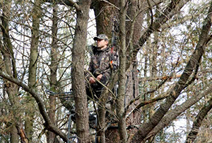 Bow Hunter