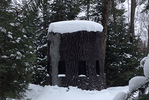 Ground Blind Hunting